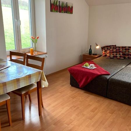 דירות Karlovice  Horsky Apartman V Karlovicich מראה חיצוני תמונה