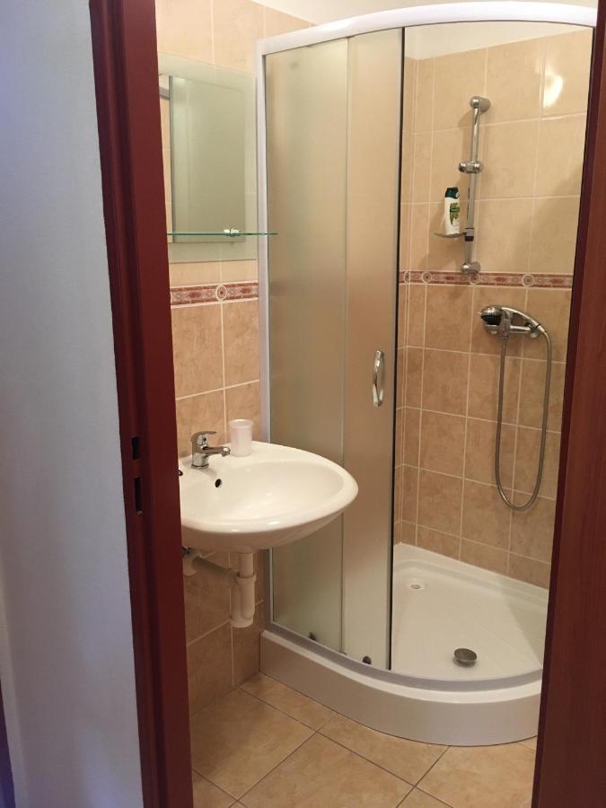 דירות Karlovice  Horsky Apartman V Karlovicich מראה חיצוני תמונה