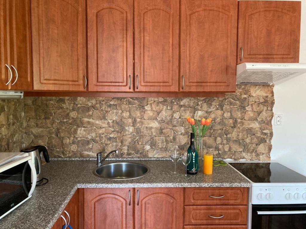 דירות Karlovice  Horsky Apartman V Karlovicich מראה חיצוני תמונה