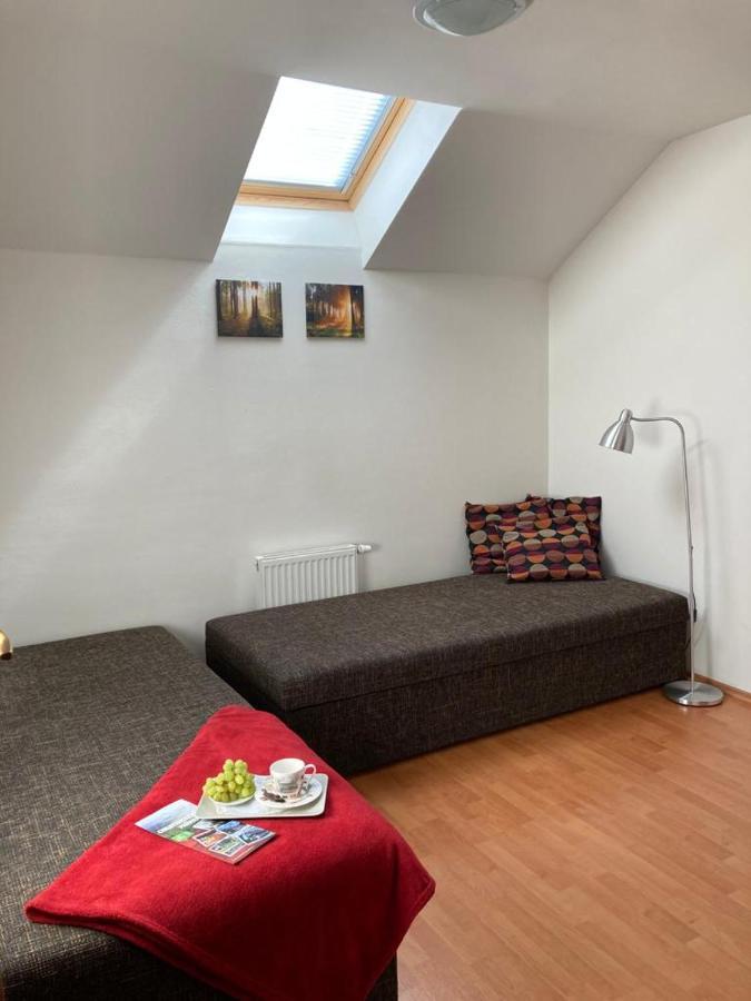 דירות Karlovice  Horsky Apartman V Karlovicich מראה חיצוני תמונה